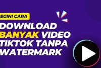 10 Website Tiktok Dwonloader Tanpa Watermark