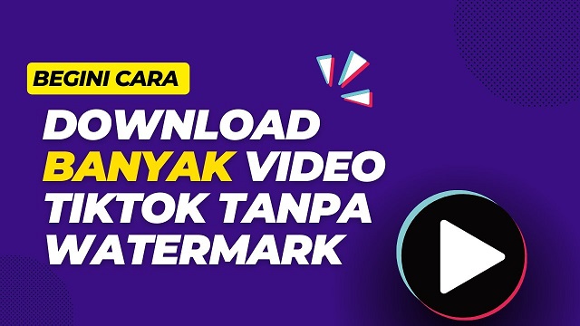 10 Website Tiktok Dwonloader Tanpa Watermark